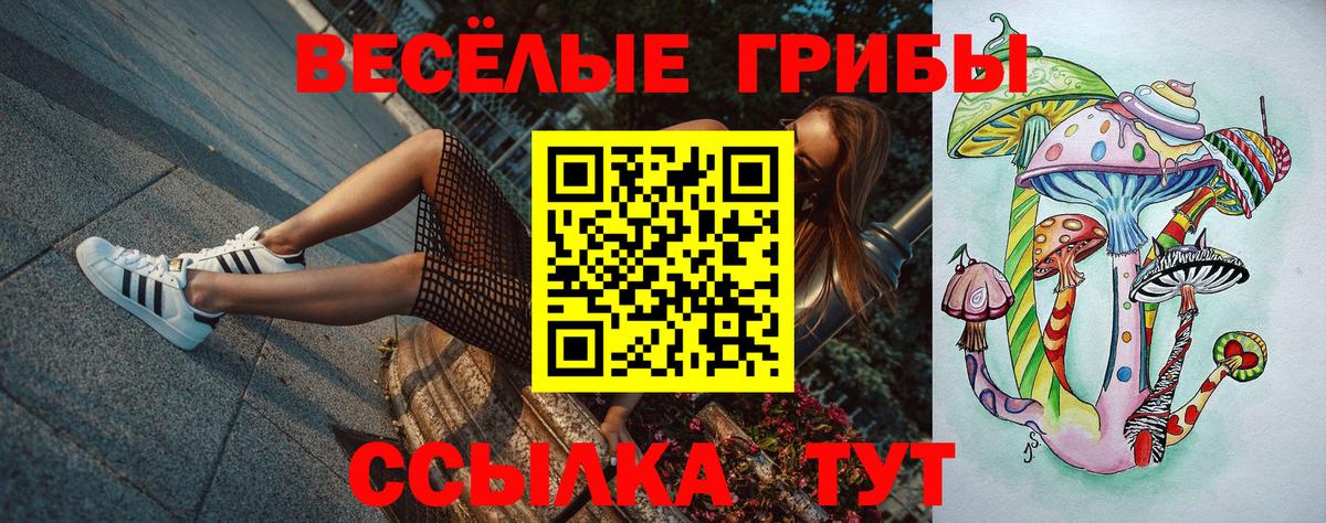 Мичуринск  Псилоцибиновые грибы прущие грибы  Вход с VPN 