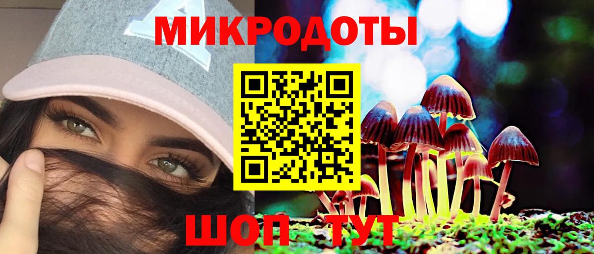 Галлюциногенные грибы прущие грибы Мичуринск